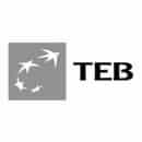 Teb
